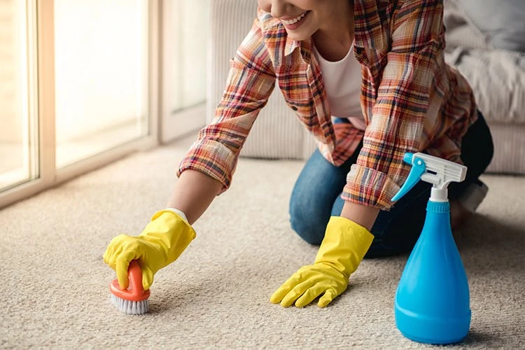 BiOHY Teppichshampoo (24x20l Kanister) | Teppichreiniger Ideal Zur Entfernung Von Hartnäckigen Flecken | SPEZIELL FÜR WASCHSAUGER ENTWICKELT 9 BiOHY Teppichshampoo (24x20l Kanister) | Teppichreiniger Ideal Zur Entfernung Von Hartnäckigen Flecken | SPEZIELL FÜR WASCHSAUGER ENTWICKELT – Bild 7