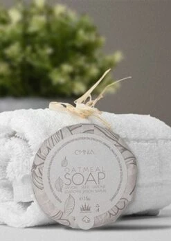 Runde Handseife Go Green Bio 15 G Neutral -Bissell Shop 4cbc314d 9f5f 4726 baba bea24f85b05c