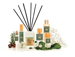 Cipresso Nobile Duschgel/Schaumbad 200ml CN-2203 -Bissell Shop 5c128b0f 74a6 4bd2 b63d e345b36688a0