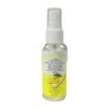 Desinfektions-Reiniger "Lemon" Für Masken 50ml/Pumpsprüher -Bissell Shop 691f715e 5db6 4b70 914d 536ae5362789