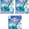 WC FRISCH Kraft Aktiv Türkisspüler Meeresfrische 3x50g WC-Reiniger Reinigung -Bissell Shop 73b57872 2e7b 4f85 bc88 746758ab7640 1