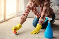 BiOHY Teppichshampoo (480x1l Flasche) | Teppichreiniger Ideal Zur Entfernung Von Hartnäckigen Flecken | SPEZIELL FÜR WASCHSAUGER ENTWICKELT -Bissell Shop 7dd6e262 15a4 4352 a76b 417ff12a2bbe