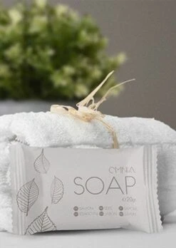 12x1 Handwaschpaste 0,5 L Braun Handseife -Bissell Shop 955e3df2 319a 45c7 9fb5 08859b3651d5 1