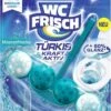 WC FRISCH Kraft Aktiv Türkisspüler Meeresfrische 50g WC-Reiniger Reinigung -Bissell Shop a732ffd2 bdcd 4312 b6c7 5c21cc27abff 5