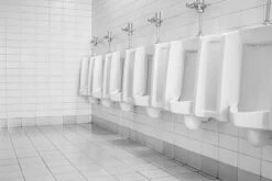 BiOHY WC-Reiniger (12x1l Flasche) | EXTRA STARK | Profi Bio Konzentrat | Dickflüssiges Reinigungs-Gel | Ideal Gegen Urinstein -Bissell Shop df2390b2 42ed 4f70 95d8 057d9c2f50ed