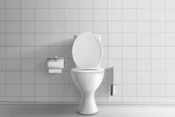 BiOHY WC-Reiniger (24x20l Kanister) | EXTRA STARK | Profi Bio Konzentrat | Dickflüssiges Reinigungs-Gel | Ideal Gegen Urinstein -Bissell Shop fda57021 3237 4e3a 9708 fba919616a9e